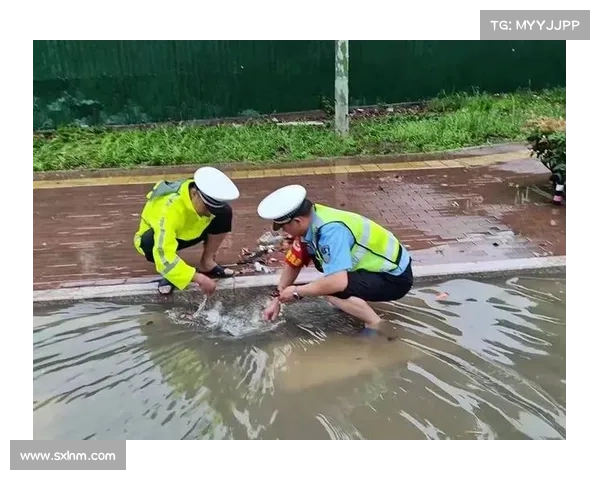 暴雨夜坚守的力量：场地维护组彻夜吸水确保赛事顺利进行